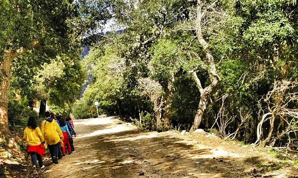 Nens i nenes de l'AEiG Pinya de Rosa de Blanes durant uns campaments. Foto: MEG