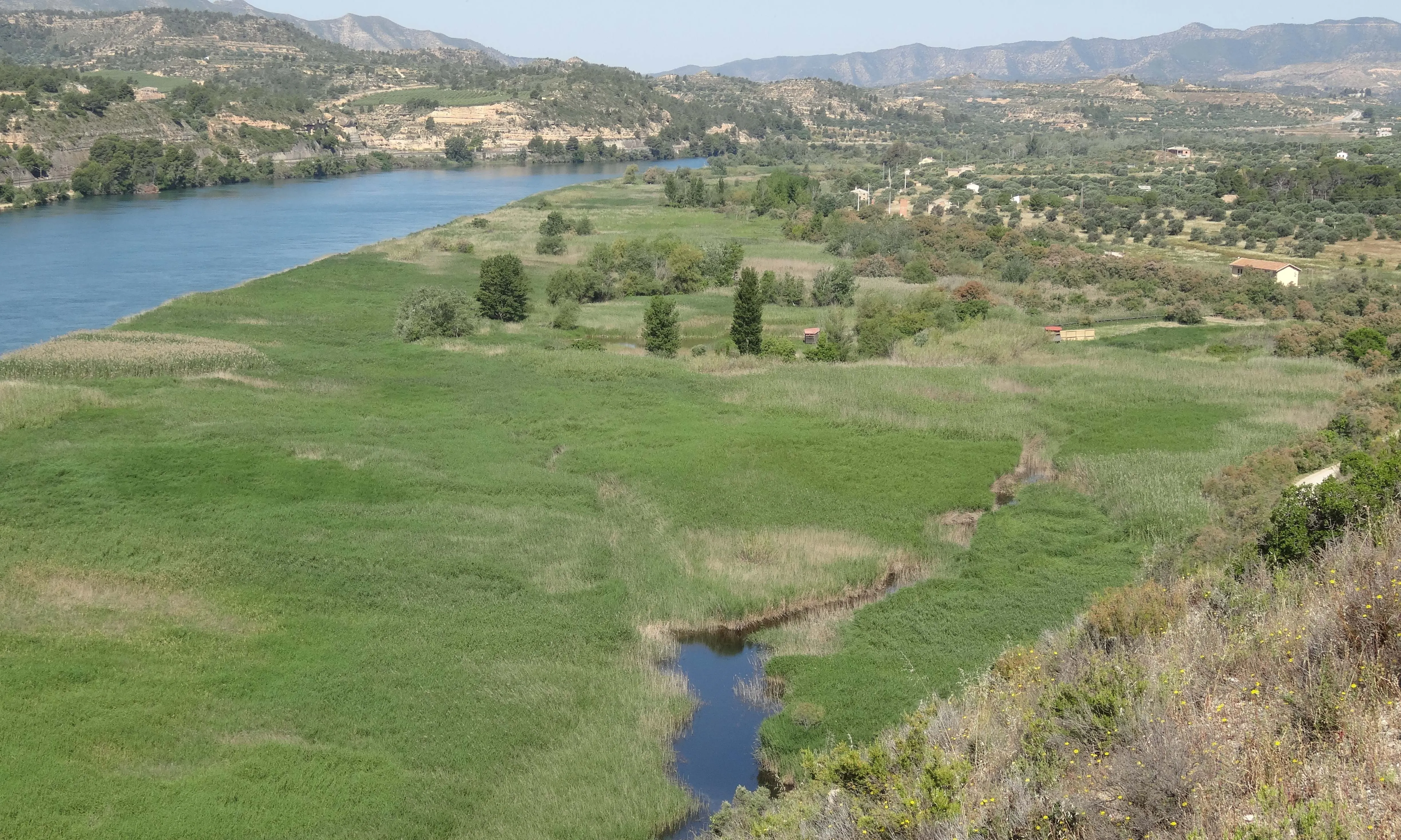 Reserva Natural de Sebes i Meandre de Flix
