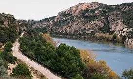 VIII Premis a l’Emprenedoria del Consell Comarcal del Baix Ebre