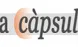 http://www.spcsalut.org/capsula.php