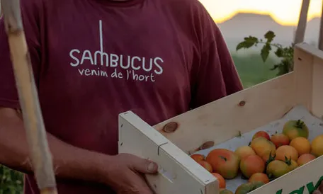 Imatge de la plana web de la cooperativa Sambucus