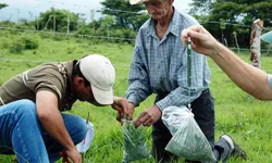 Projecte de cooperació a Guatemala (Font: FAS)