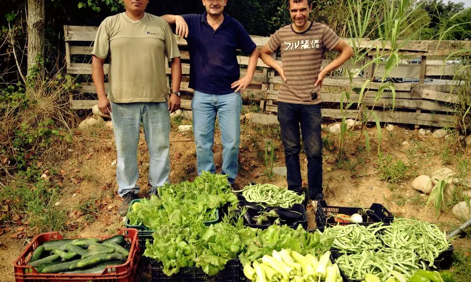 Hort eco-solidari de la UdG 