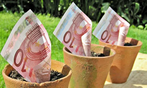 Bitllets i plantes. Font: web Feder. Ateneus de Catalunya 