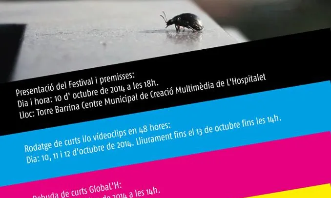 Cartell del festival MetropoL'His 2014