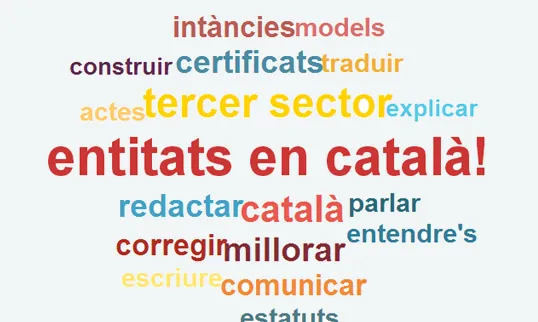 Imatge de Les entitats, en català!