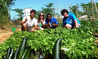 Grup de voluntariat als horts eco-solidaris de la UdG