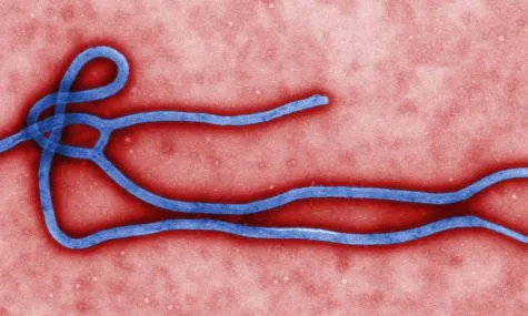 Makers s'organitzen per lluitar contra l'ebola. Imatge de Cynthia Goldsmith