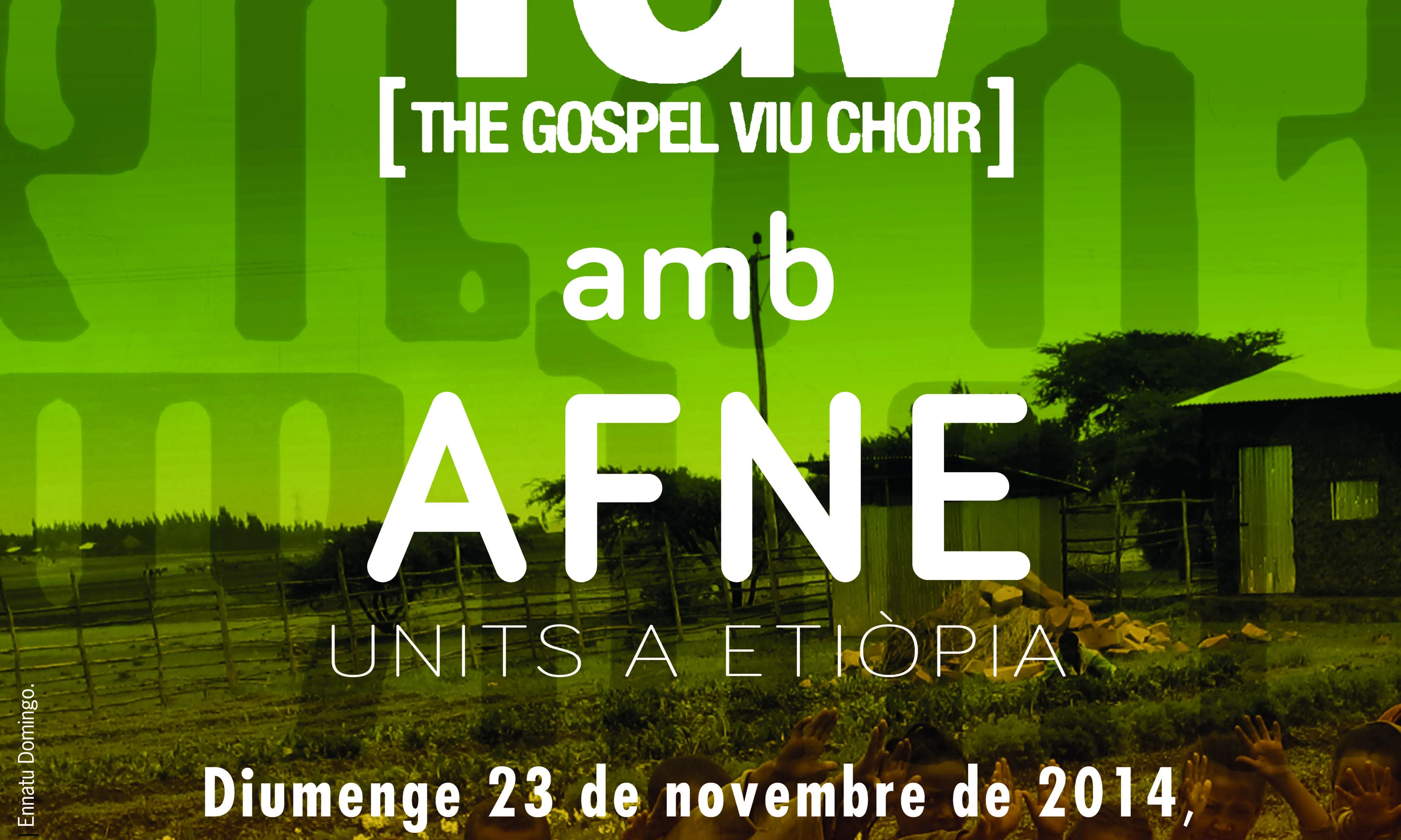Cartell del concert organitzat per AFNE