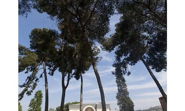Imatge edifici de Torre Jussana. Font: Wikimedia Commons