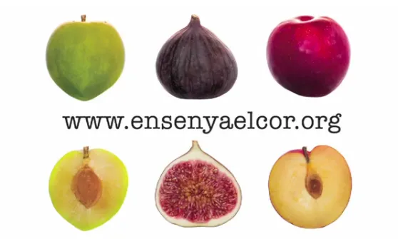 Campanya "Ensenya el cor, fes balanç social"