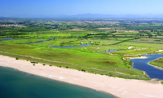 Reserva Integral als Aiguamolls de l'Empordà (imatge; catalunya.cat)