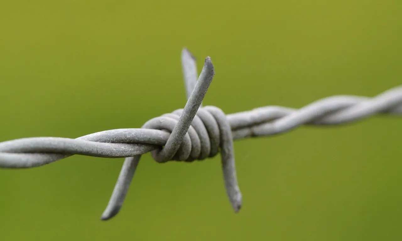 Ningú pot ser arbitràriament detingut, un dels principis dels Drets Humans. Imatge: pixabay