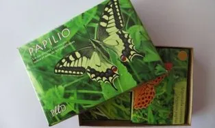 Papilio, un joc de cartes sobre papallones (imatge:plld.cat)