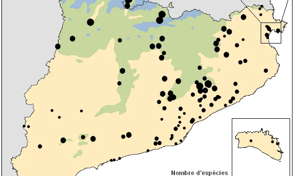Poblacions de papallones estudiades al CBMS (imatge:catalanbms.org) 