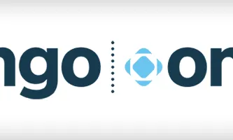 domini .ngo .ong Font: globalngo.org