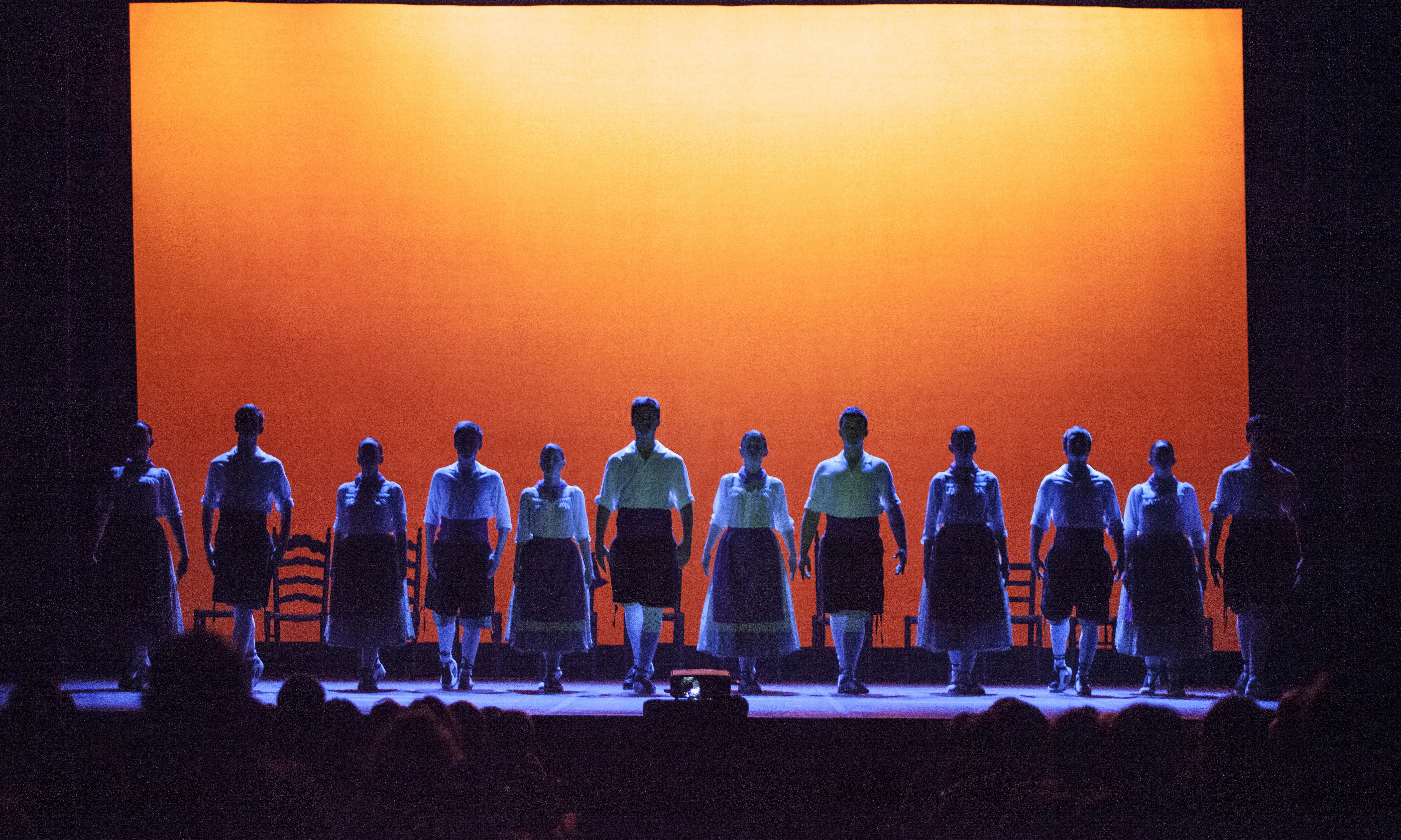 Imatge de l'espectacle Som dansa, tercera temporada