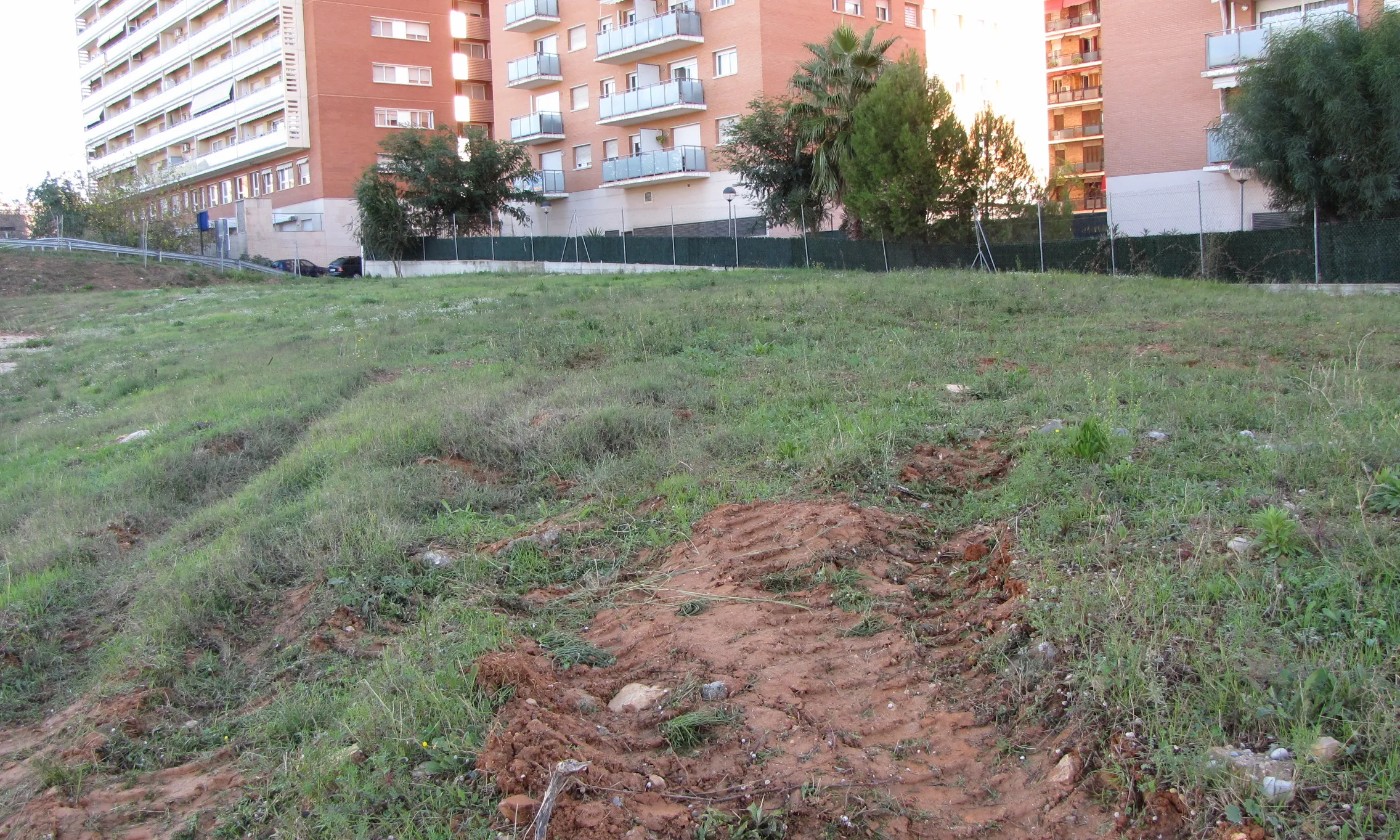 Terreny del Campus Catalunya, a Tarragona, on hi haurà l'hort  (Font: Hort social URV)