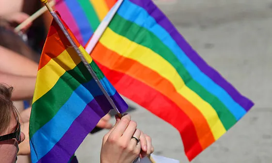 Bandera LGTB - Font: wikipedia