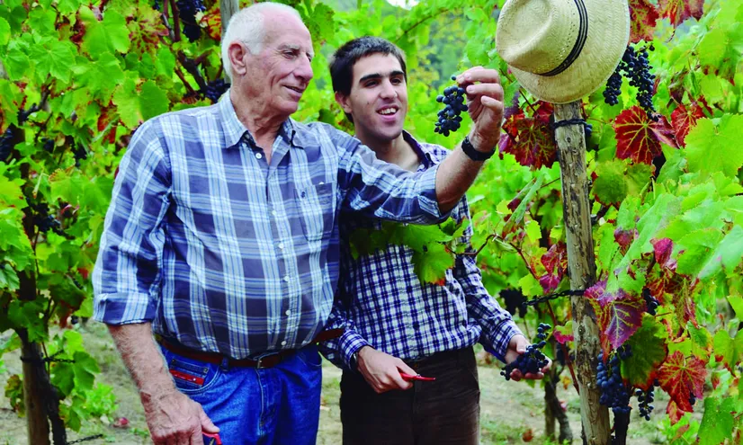 A les Bodegues Torres persones amb discapacitat  fan de monitors en les visites guiades dels tallers "viu la vinya"