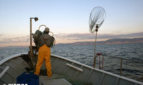 Els pescadors d'Arenys col·laboren amb entititas ambientals i institucion científiques per practicar la pesca sostenible (imatge:submon.org)