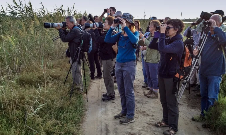 Delta Birding Festival 2014