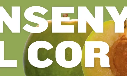 La campanya del Balanç Social fa una crida a "ensenyar el cor". Imatge de difusió de la campanya