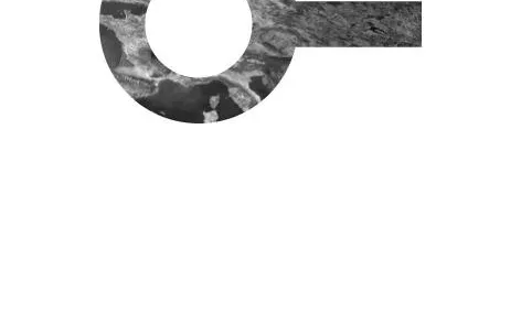 Focir Logo
