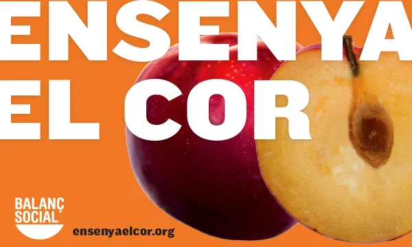 La campanya del Balanç Social fa una crida a "ensenyar el cor". Imatge de difusió de la campanya