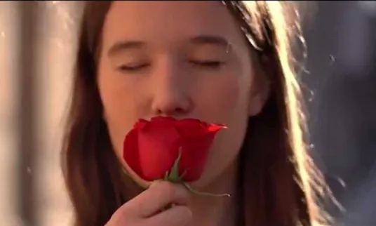Una rosa, una causa.