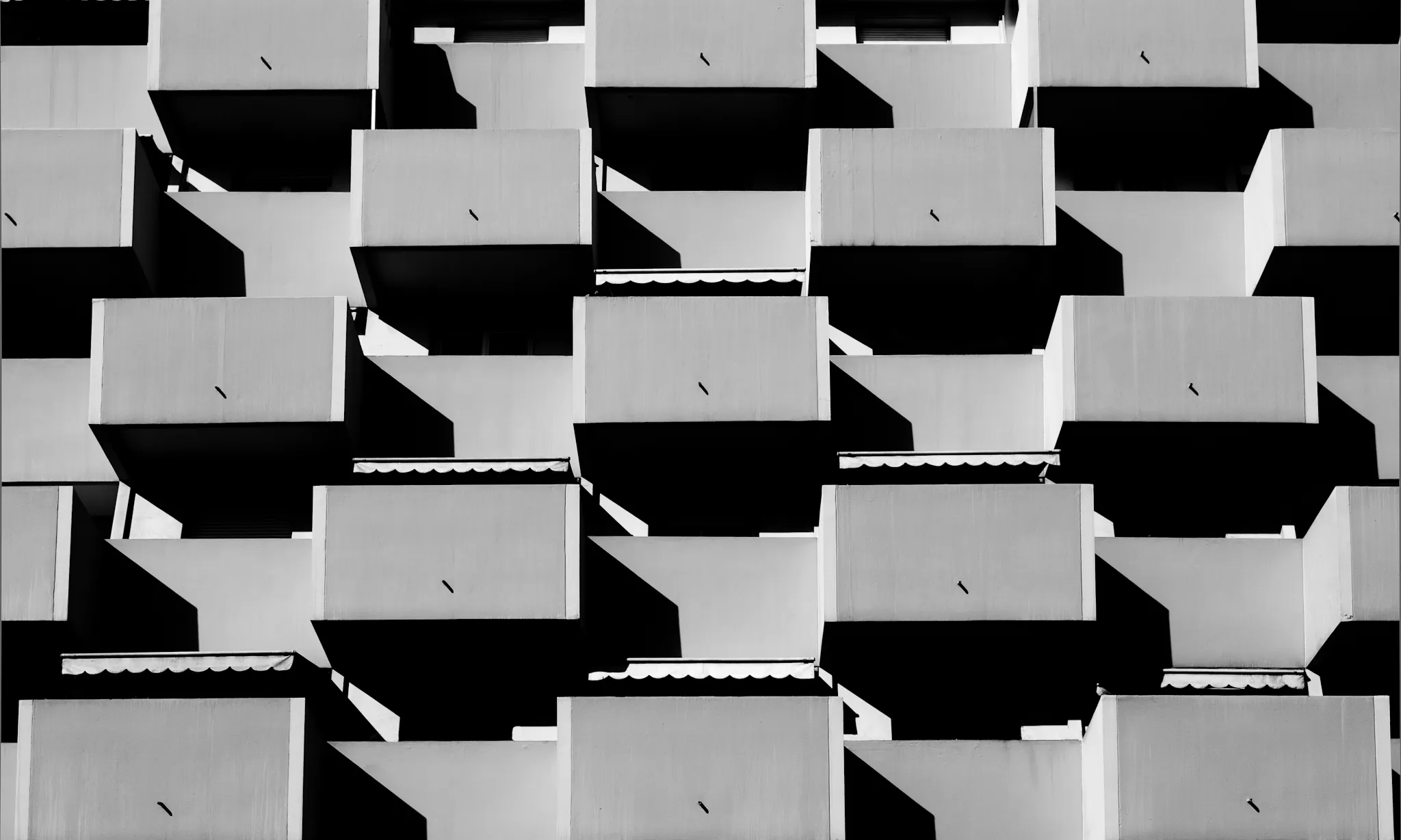 Veïns_Thomas Leth-Olsen_Flickr Veïns_Thomas Leth-Olsen_Flickr