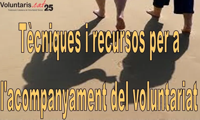 El curs tindrà lloc els dies 16 i 23 de maig.     Font: FCVS