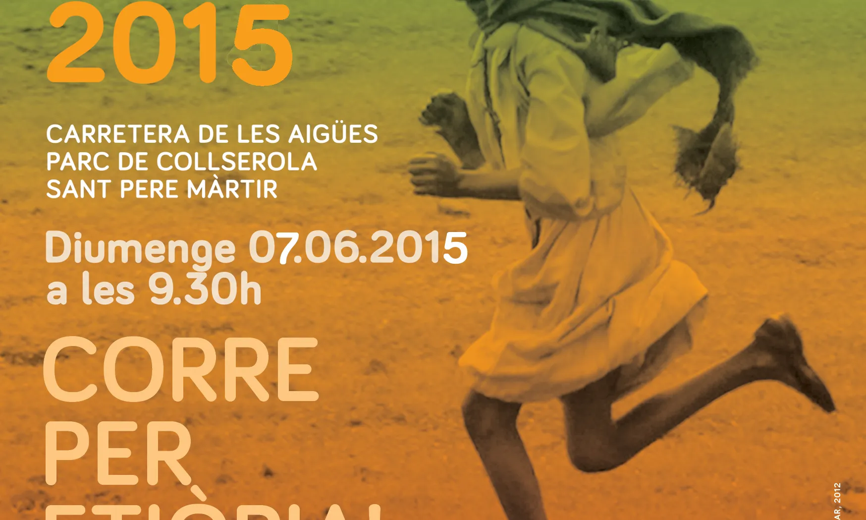 Cartell de la cursa 2015. Font: AFNE