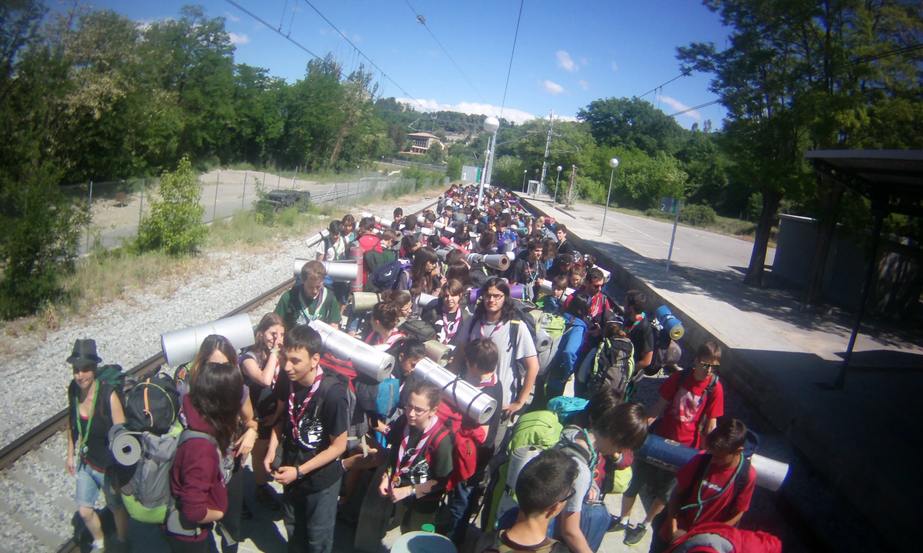 Els raiers i les raieres a la TREC