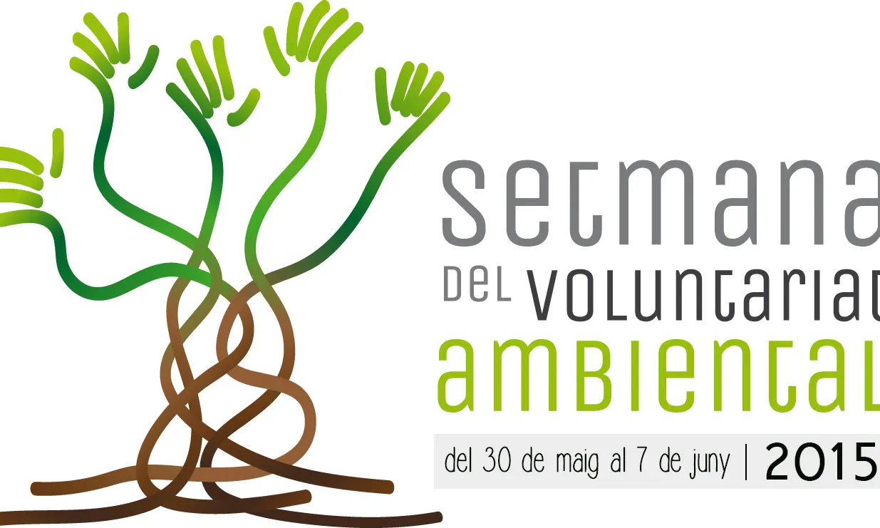  Cartell de la SVAC 2015