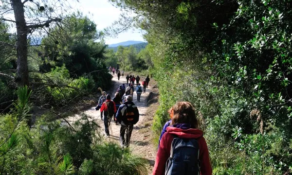 Caminada de Bosc Verd a la Penya del Moro (Begues). Font: Bosc Verd