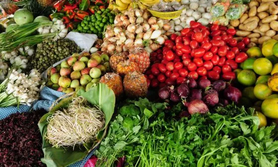 Cada any es llencen 1.300 milions de tones d'aliments.