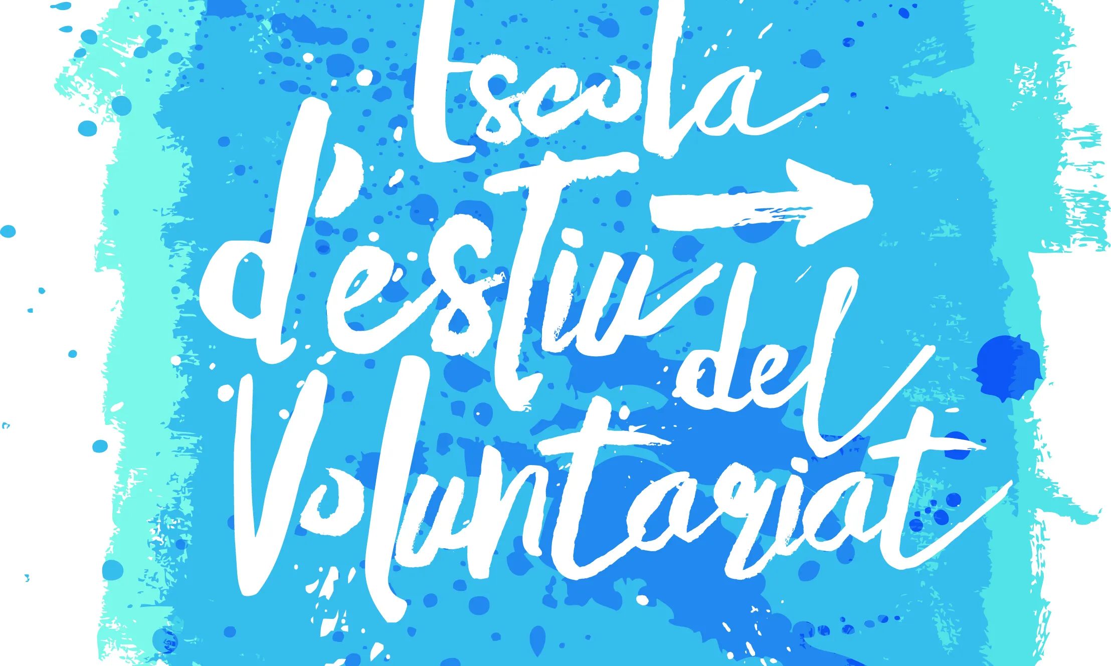 L'Escola d'Estiu del Voluntariat 2015 tindrà lloc del 2 de juliol al 19 de setembre.
