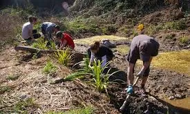 Curs d'iniciació al voluntariat al Prat del Llobregat. 