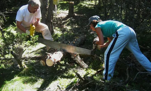  L'experiència directa és la millor formació per entendre els valors del bosc de muntanya