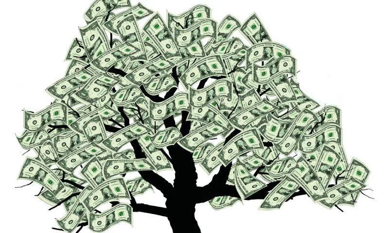 Imatge arbre amb fulles de bitllets. Font: https://www.flickr.com
