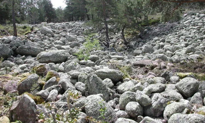 Cada any se celebra la jornada de mitologia pirinenca.