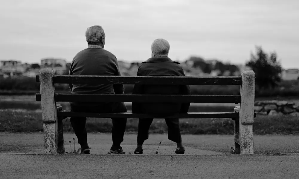 Avis_Abel Francés Quesada_Flickr