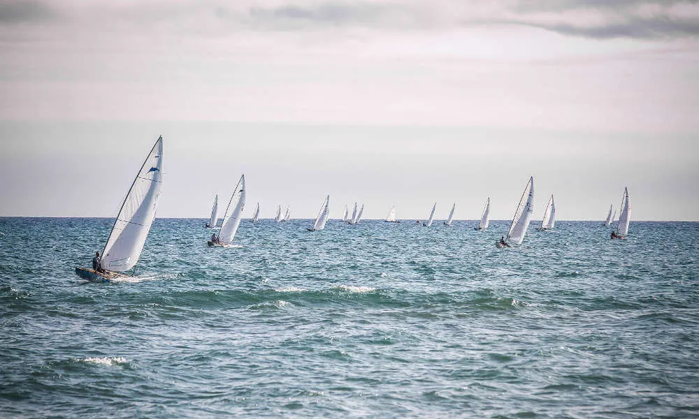 Cursos de vela al Prat de Llobregat. Font: Ajuntament del Prat de Llobregat