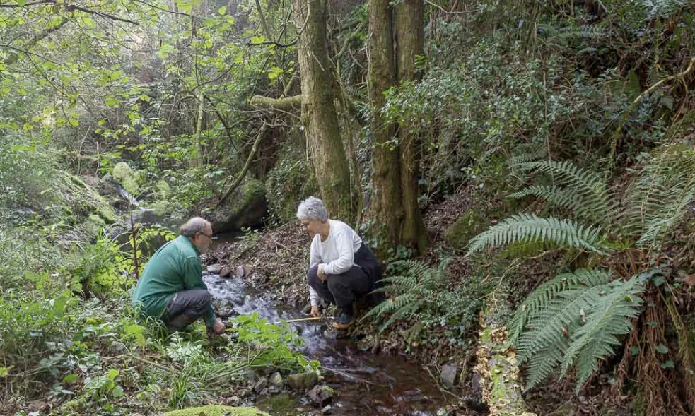 Voluntaris mesurant la riera de Vallcàrquera a El Figaró (imatge: Associació Hàbitats)