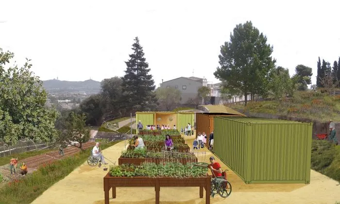 Imatge il·lustratiu de l'Hort ecològic i comunitari