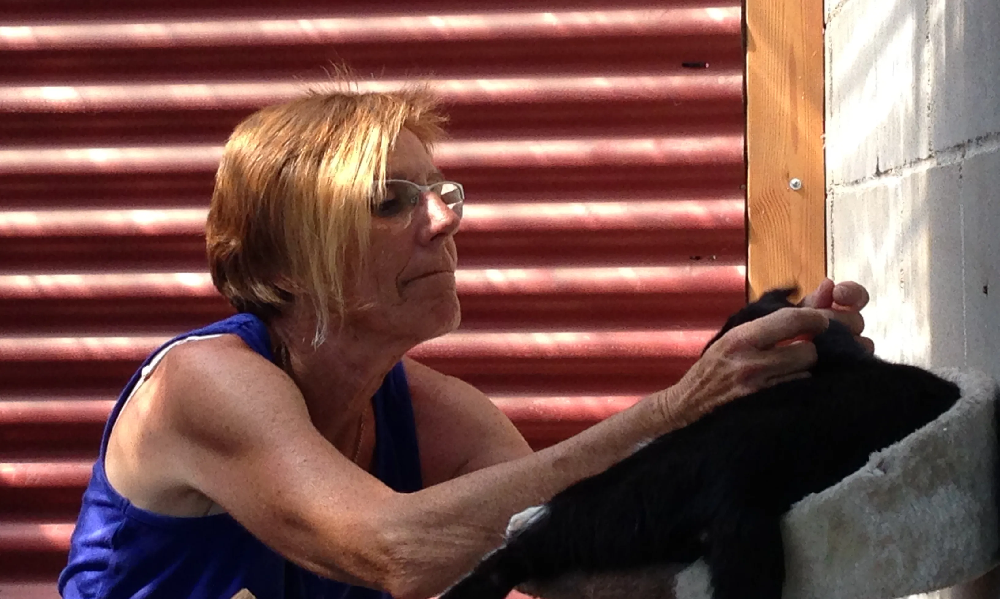 Donar afecte als animals, també forma part del seu dia a dia