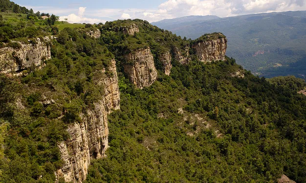 L'objectiu és enfortir l'associacionisme i el voluntariat ambiental.