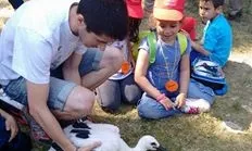 Anellament i alliberament de cigonyes amb Apnae (imatge:xvac)