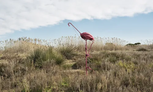 L’exposició “Weird Animals” es pot visitar gratuïtament dins la programació del Festival Docfield 2015 a Can Basté de Barcelon